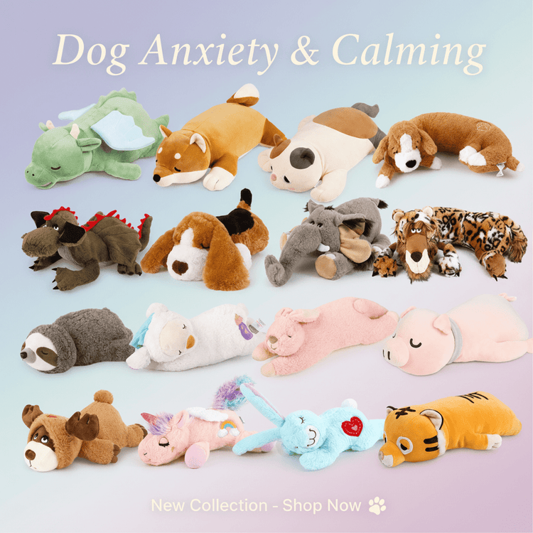 Dog Anxiety & Calming - The Petzzy